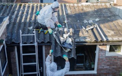 Found Asbestos in Your Demolition or Refurbishment Project? Hire the Experts